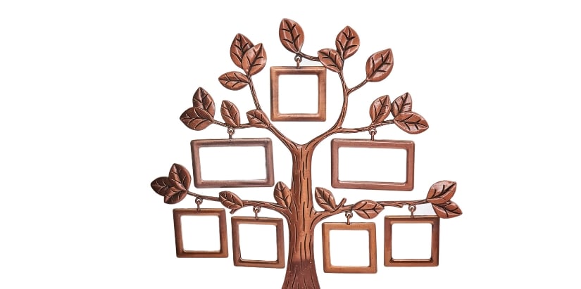 Changement de nom réformer